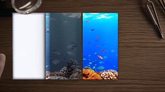 technews in telugu tft super amoled and ,IPS display смотреть онлайн
