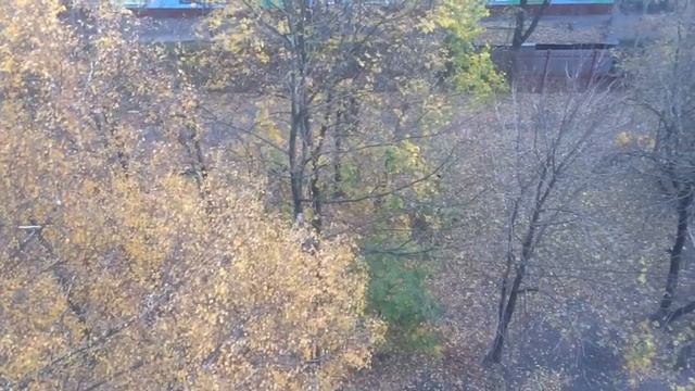 Удивительные истории из жизни: мы с мужем были так счастливы, но в один из дней врач огласил диагно смотреть онлайн