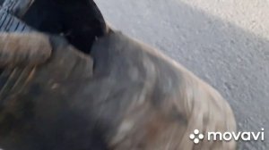 замена чулка пневмо ресоры Маз,ман ивеко,в полевых условиях.