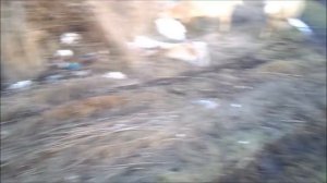 Деревенская жизнь, гибрид коз и овец, ездовой козёл и баран, торговля шерстью.