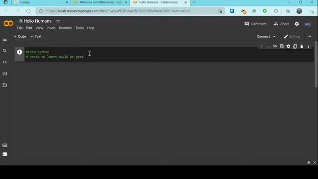 Hello Hoomans ( Google Colab and Introduction) смотреть онлайн