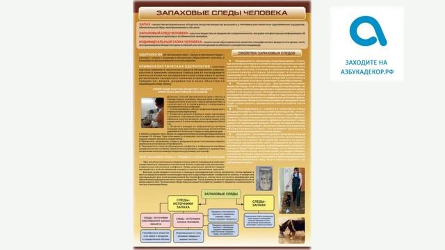 Наглядные пособия по криминалистике и оружию смотреть онлайн