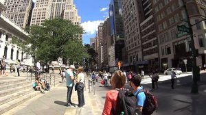 Нью-Йоркская библиотека. Часть 1