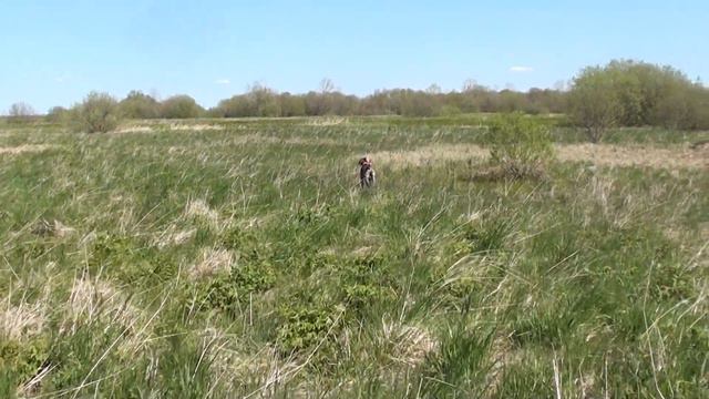 Гримм, 6 месяцев. Перемещенный дупель. смотреть онлайн