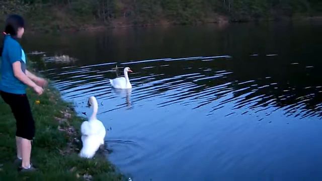 Не утонет в речке мячь.mp4 смотреть онлайн