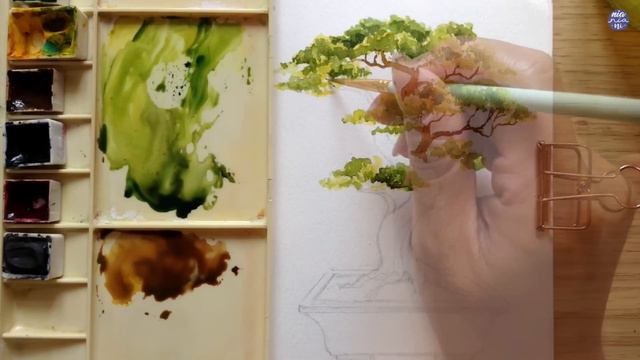 Bonsai Tree: Watercolor Tutorial смотреть онлайн