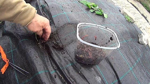 4  этап верми-хобби 2005-2014 годы  10.10.2014 1