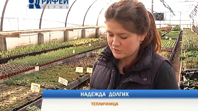 Зелёный участок. Флоксы смотреть онлайн