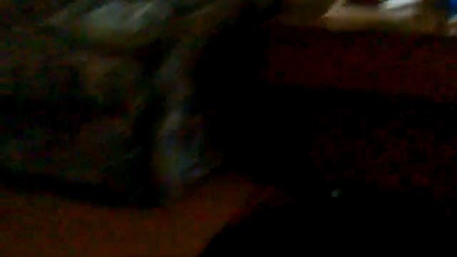 Так играют доберманы . межде собой. Бой Доберманов в квартире. Игра. Взросление собак. смотреть онлайн