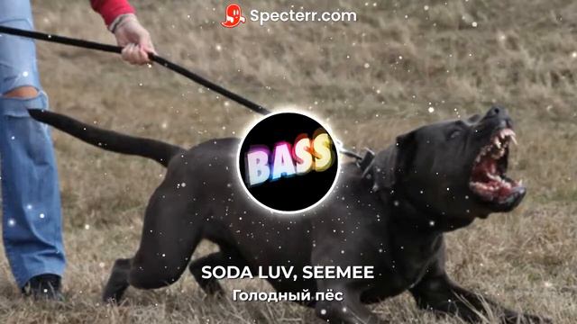 SEEMEE & SODA LUV - Голодный пёс