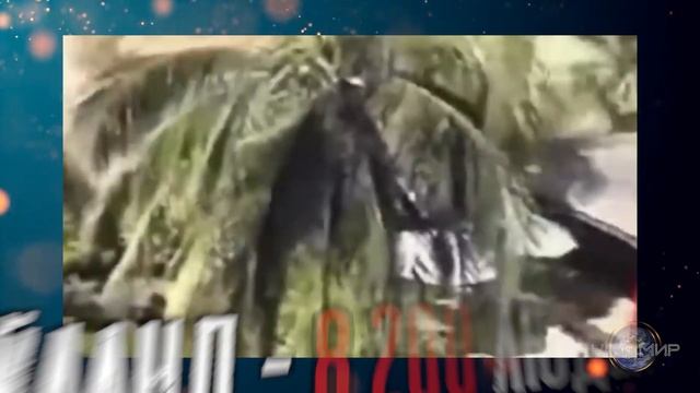 Самые #страшные #цунами за последних #100лет смотреть онлайн