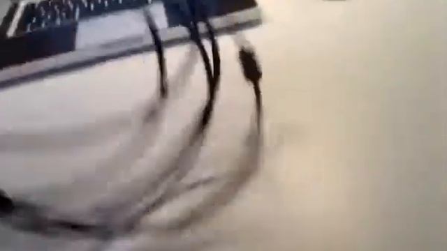 USB 2.0 Экранированный принтер / сканер кабеля (3M смотреть онлайн