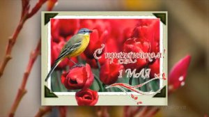 Видеооткрытка «Поздравляю с 1 мая!»