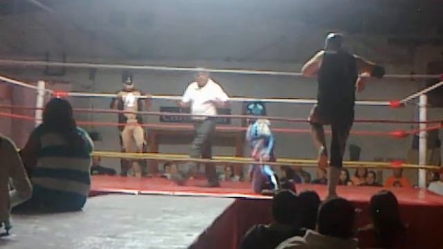 lucha libre en arena el angel kokis doberman y kokis doberman jr vs black steel y celtico смотреть онлайн