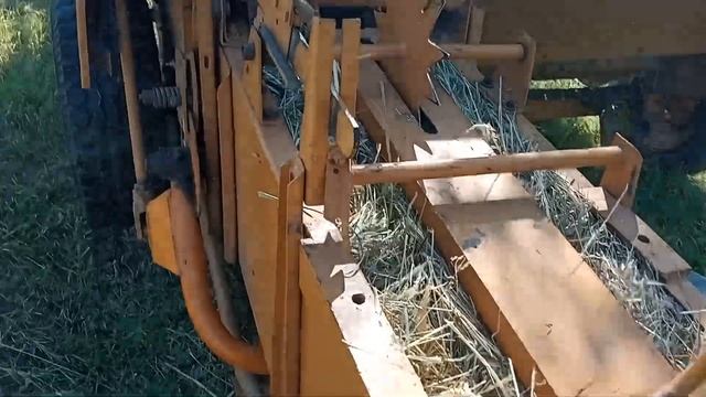 тюкую сено сегодня смотреть онлайн
