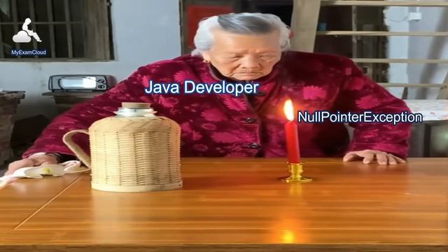Java NullPointerException - funny meme смотреть онлайн