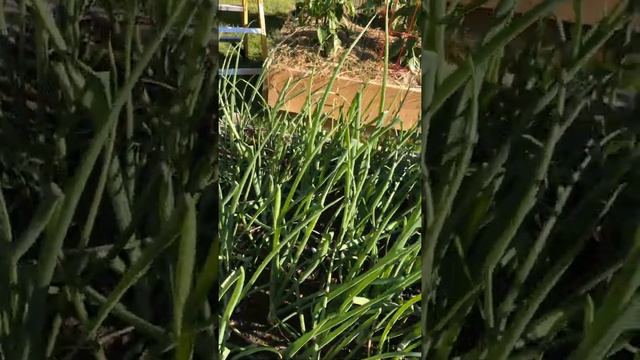 Episode 6 смотреть онлайн