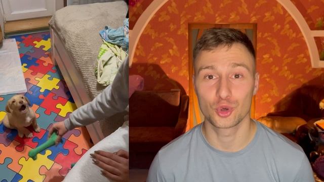 Виховання цуценяти. Як виховувати цуценя? Проблеми із цуценям. З чого почати виховання собаки? смотреть онлайн