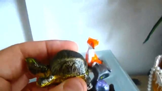 Живые камни , оживший гипс. Обзор. смотреть онлайн