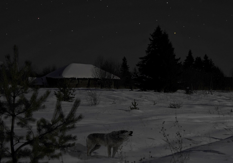 Рассказ Валерия Лялина "Вечер в Ивановом погосте" смотреть онлайн