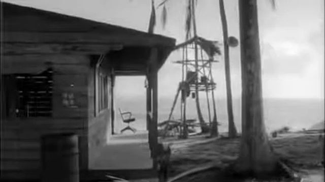 The Noah 1975 смотреть онлайн