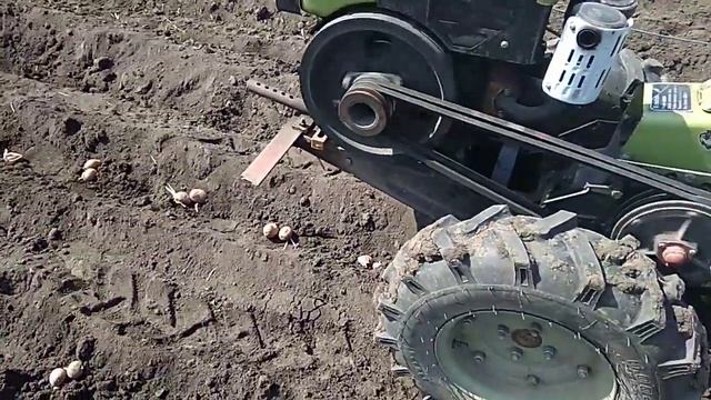 Загортання картоплі смотреть онлайн