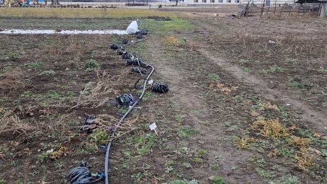 Домашний участок на начало зимы. Планы на будущее. смотреть онлайн