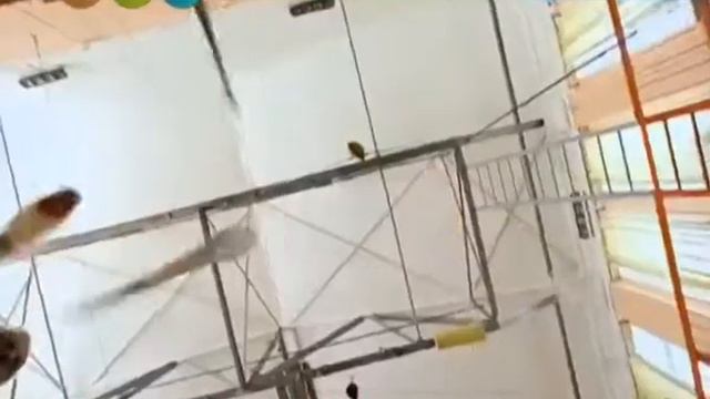 Окружающий мир 15 10 2015 смотреть онлайн