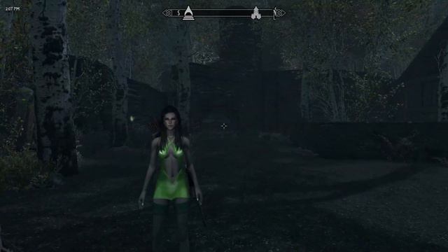 Skyrim SE Sofia (2.5) Marriage bug workaround смотреть онлайн