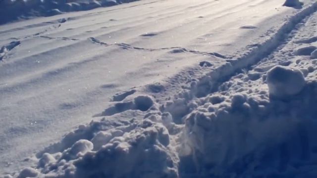 ВПО 222 9,6*53 ланкастер # 100 м стрельба по курице и кирпичу смотреть онлайн