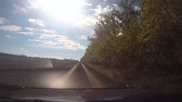 ПРОХОРОВКА -ДОНЛЕСХОЗ (поиск грибов)/#3 -Октябрь -2022 смотреть онлайн