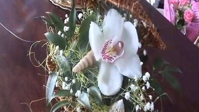 Амариллис / Цветы круглосуточно/ г. Нижнекамск смотреть онлайн