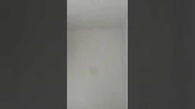 VID 20170512 162710 смотреть онлайн