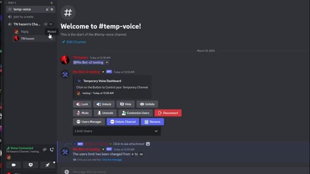 how to make bot for temporary voice channels v14 for free #discord #discordbot смотреть онлайн
