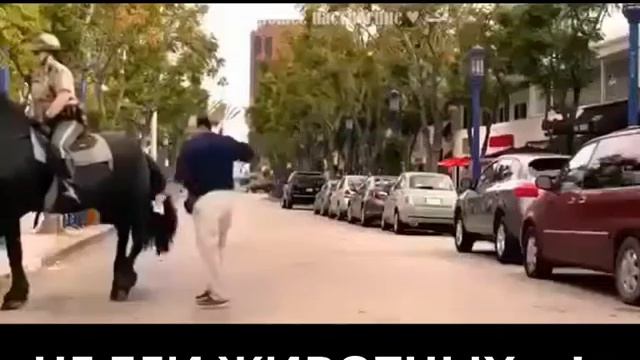 НЕ БЕИ ЖИВОТНЫХ ...САМОЕ СМЕШНОЕ ВИДЕО В МИРЕ...!!!!!! смотреть онлайн