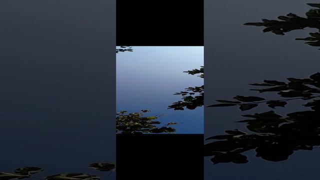 20240904_102216.mp4 смотреть онлайн