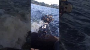 Лодочный мотор от триммера 2.5 лс лодка sportex 250 максимальная скорость 9.5 км