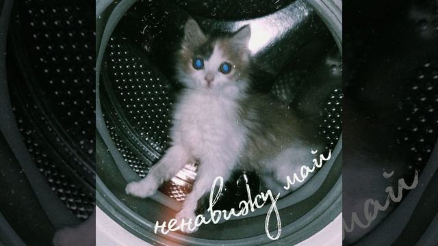 смс =) смотреть онлайн