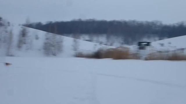 Рыбалка Зима 11.02.2017 пруд х.Саенки Белгородская обл. смотреть онлайн