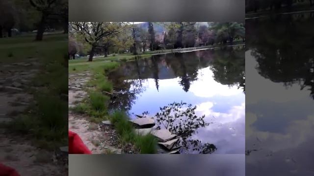 Санаторії Карпати, озеро , 2016 смотреть онлайн