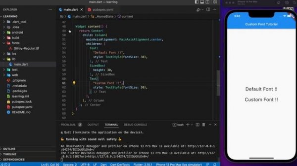 How to use custom font in Flutter App | Flutter Font