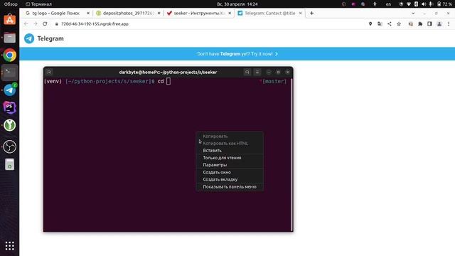 Способы деанонимизации по ссылке (Seeker || Exploits) смотреть онлайн