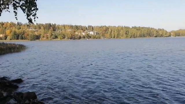 Лохья смотреть онлайн