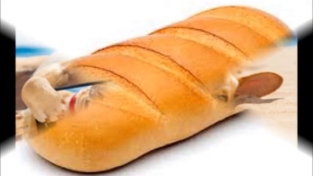 бублик и батон смотреть онлайн