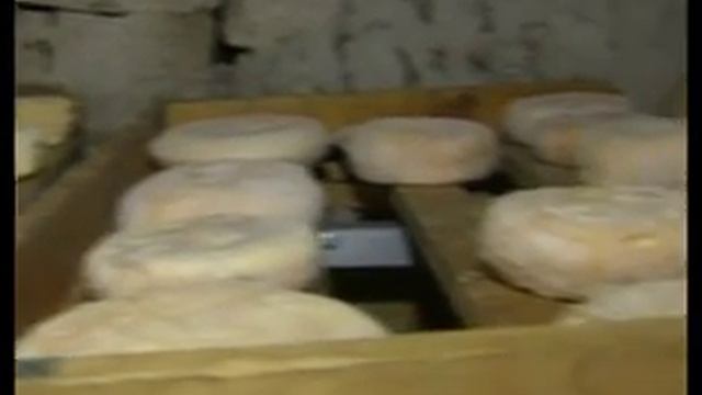 Французские пенсионеры учат липчан делать сыры с плесенью смотреть онлайн