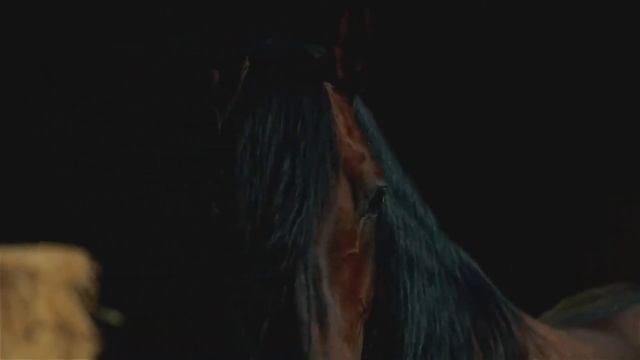 Андалузская порода Www.SpanishHorse.Ru смотреть онлайн