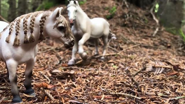 Проект 2024 Мини -фильм 