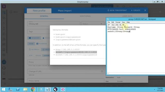 Dolphin Anty Proxy Setup Guide смотреть онлайн