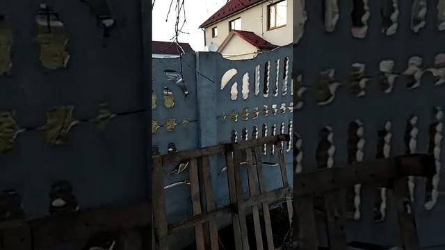 Курка сломала ногу смотреть онлайн