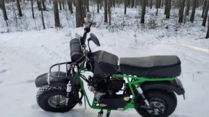 Скаут Сафари 3 начало зимы